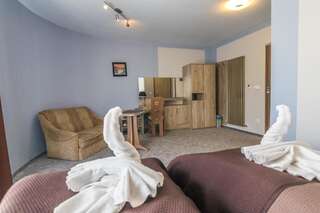 Отели типа «постель и завтрак» Resident Rene Устка Улучшенный двухместный номер с 1 кроватью или 2 отдельными кроватями-6